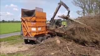 Flishugning med Jenz 561 flishugger på Claas Xerion 4000, flisen laves til bio energi