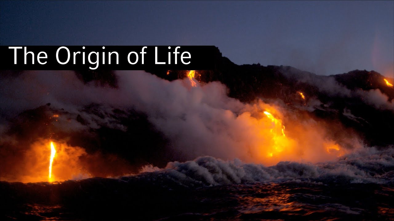 The Origin Of Life - YouTube