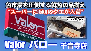 【Valor バロー 千音寺店 スーパーに5kgのクエが入荷 魚市場を圧倒する鮮魚の品揃え】あばお 海鮮ちゃんねる #344 2025.02.22