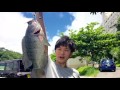 ティラピア編 tilapia fishing in japan.