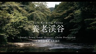 Yoro-Keikoku Valley: Chiba's Hidden Gem | Ultimate Guide \u0026 Exploration | 養老渓谷探訪 千葉の秘境ガイド