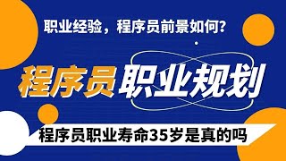 百万年薪程序员与初级程序员的区别到底在哪儿? (深度职业规划) | 2021/09月