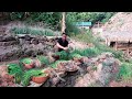 Harvesting onions from the garden and taking them to market to sell - Farm Life | TA Bushcraft.