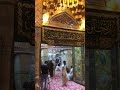 zari mubarak of imam hussain a.s. at karbala iraq.