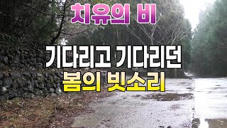 잠이 오지 않을때 조용한 빗소리를 추천합니다/ 불면증과 이명 치료를 위한 빗소리 백색소음