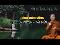 Thầy Minh Niệm - Làm sao để BÌNH THẢN SỐNG? TÙY DUYÊN BẤT BIẾN (Rất hay)