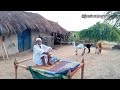 Desert village lifestyle  tharparkar Sindh near India Bader Pakistan #thar #villagelife #village