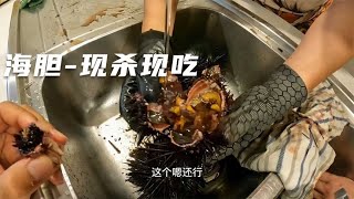 环球旅行1334天：有生吃过海胆吗？味道极其鲜美，没有任何腥味！#鞋底骑车环球旅行 #澳大利亚 #澳洲 #悉尼 #旅行