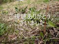 【現在不使用】防災行政無線チャイム　山梨県北杜市小淵沢町　正午