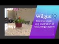 wilgusiq viscount white granite countertops