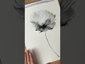 how to paint watercolor poppy in black and white shortsvideo watercolortutorial shorts arttips