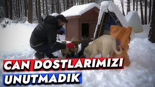 CAN DOSTLARIMIZI UNUTMADIK