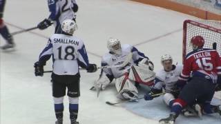 SAINT JOHN SEA DOGS VS MONCTON WILDCATS JANUARY 17TH, 2017