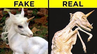 When PROOF Shows These Legendary Creatures Actually Exist