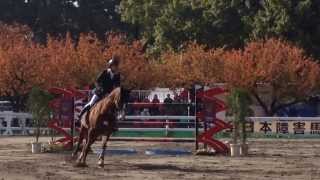 第65回 全日本障害馬術大会2013