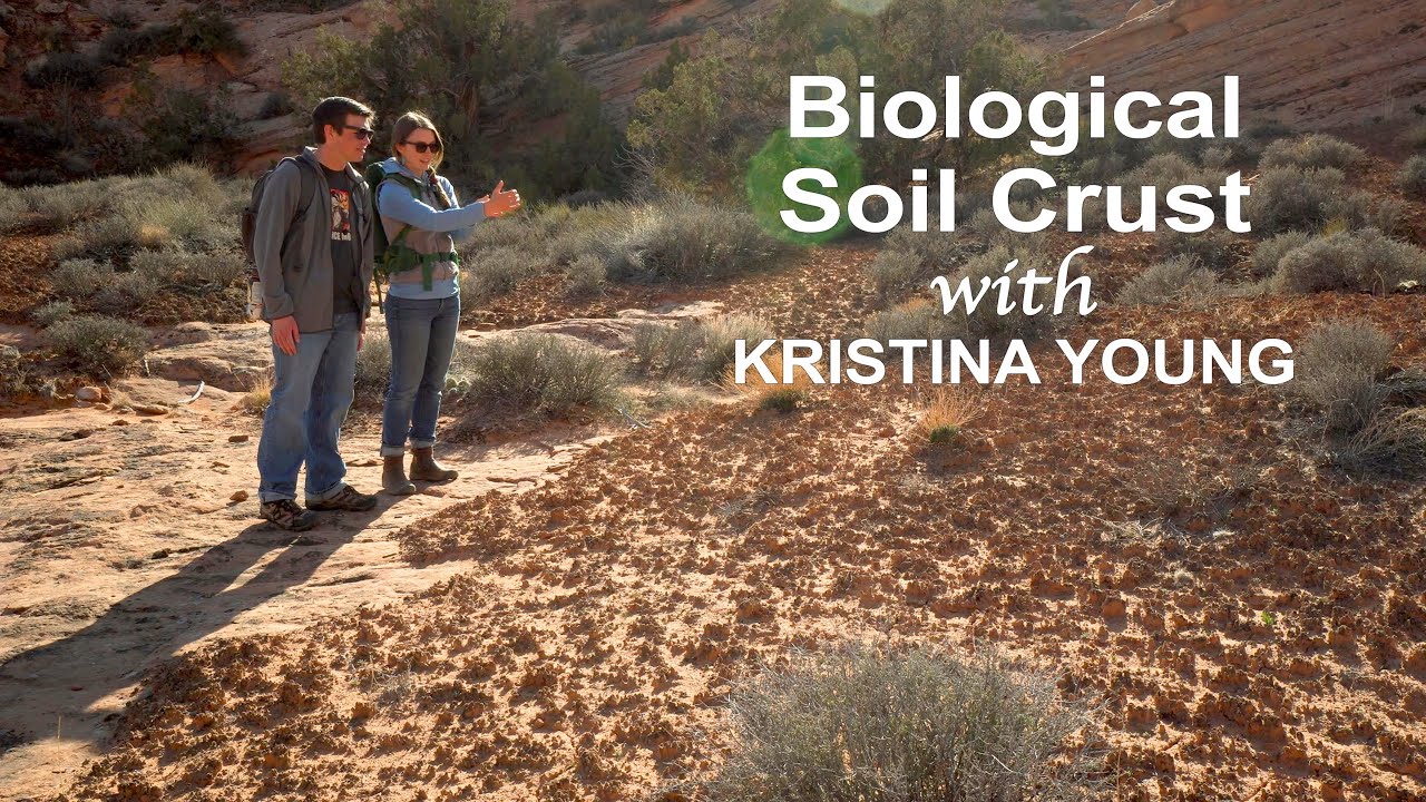 Moab S Biocrust Youtube