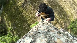 tree beekeeping climbing with 'leziwo'