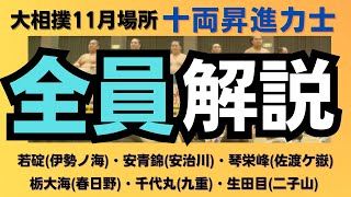 期待値高すぎ！６人の新十両＆再十両力士を全員解説！【大相撲】