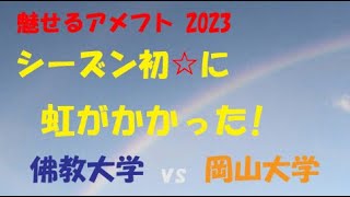 魅せるアメフト2023『シーズン初☆に 虹がかかった!』佛教大学 vs 岡山大学 2023年10月21日 宝ヶ池球技場