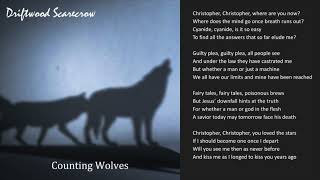 The Turing Machine Driftwood Scarecrow Lyric Video