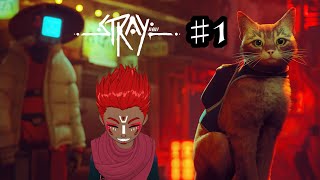 猫を愛でるゲームと聞いていたのに・・・STRAY実況プレイ#1