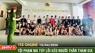 Trùm ma túy kéo cả gia đình vào bán ma túy | Bản tin 113 online ngày 15/4 | ANTV