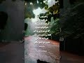 سحررسولی نویسنده شاعر ترانه_سرا ویراستار_کتاب کلیپ عاشقانه خواننده هایده یوتیوب love شعر