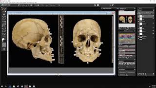 Witness real-life forensic art. Reconstructing a face from a skull