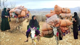 Donkey riding young lady and grandmother, with a very heavy load 😱😱