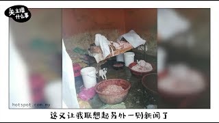 ▌关主播什么事 ▌远离沙门氏菌   你可以这么做