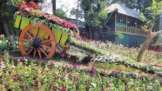 POOPPOLI // CART GARDEN // AMBALAVAYAL