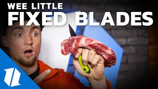 Ultimate Small Fixed Blade Test \u0026 Comparison | Week One Wednesday | Live