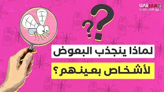 لماذا ينجذب البعوض لأشخاصٍ مُعينين؟ إليك الأسباب