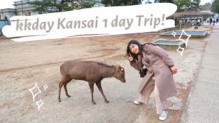 帶你去京都超知名景點🇯🇵(上)｜跟著 kkday 關西一日遊✨｜京都×奈良｜Luna in KYOTO