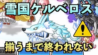 【城ドラ】アバたま！雪国装備『ケルベロス』揃うまで終われない！？【YASU｜城とドラゴン】