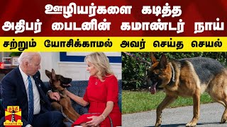 ஊழியர்களை கடித்த அதிபர் பைடனின் கமாண்டர் நாய்..சற்றும் யோசிக்காமல் அவர் செய்த செயல் | Joe Biden