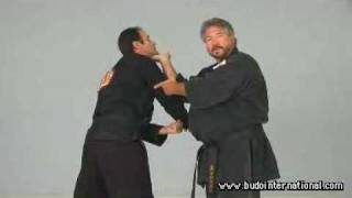 Kosho Ryu Kempo. Bruce Juchnik