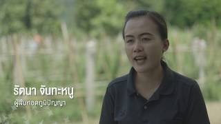 การปลูกและแปรรูปสมุนไพร จังหวัดสระแก้ว | ธนาคารภูมิปัญญา