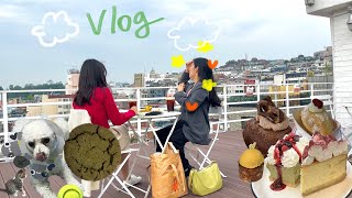 🐶 네발달린 귀여운 생명체들이 난무하는 VLOG 🐈 | 🍰 이태원 빵투어 (빵어니스타, 키에리) | 👰🏻‍♀️ 스쳐지나간 언니의 결혼식 | 🍩 대전 도넛 맛집 엠엠엠