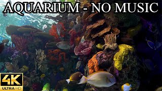 Dream AQUARIUM 4K Underwater Sounds NO Music NO Ads - Fish Tank Sounds for Sleep