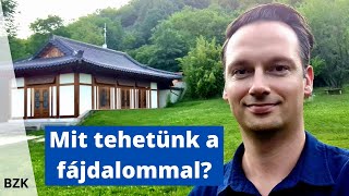 Mit tehetünk a fájdalommal?