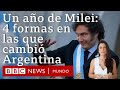 4 formas en las que Javier Milei cambió a Argentina en su primer año como presidente | BBC Mundo