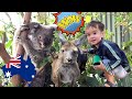 Australian Animals for Kids. Learn Kangaroo and Koala for Kids with Aldo at Wildlife Park.