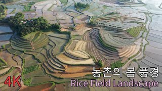 농촌의 봄 풍경 / 다랑논 /  드론영상 / Healing video / Rice Field Landscape / 4K