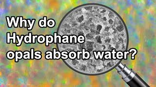 Why do hydrophane opals absorb water?