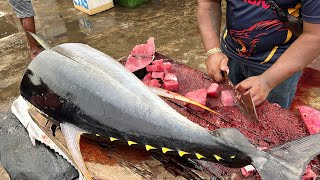 GIANT 60Kg TUNA CUTTING SKILLS | MASSIVE TUNA BREAKING INTO PIECES