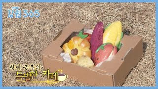 [강원365] 농부의 마음으로 만드는 빵과 음료 - 춘천 형제 농부의 특별한 카페