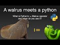 A Walrus Meets a Python - What is the := Walrus Operator?