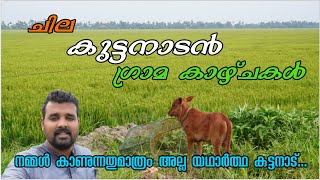 കുട്ടനാടിന്റെ ചില ഗ്രാമക്കാഴ്ചകൾ।നമ്മൾ അറിഞ്ഞതുമാത്രമല്ല കുട്ടനാട് ।എന്റെ യാത്രാനുഭവം। Kuttanad