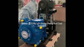 Tobee® TH6x4D Coal Ash Slurry Pump with ZV Driven Type